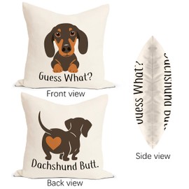 JIMOWANG Dachshund Dog Throw Pillow Case Modern Cushion Cover Square Pillow Cover Decoration for Sofa Bed Chair Car 18 x 18 Inch