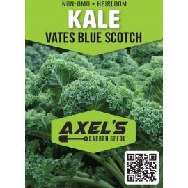 Axel's Garden Seeds Dwarf Blue Curled Scotch Kale Seeds | Heirloom | Non-GMO | Fresh Garden Seeds - 50 Seeds