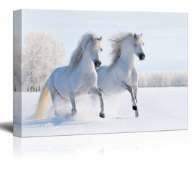 Canvas Prints Wall Art - Two Galloping White Welsh Ponies/Horses on Snow Field | Modern Wall Decor/Home Art Stretched Gallery Canvas Wraps Giclee Print & Ready to Hang - 32" x 48"