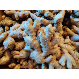 Fresh Organic Ginger Root – Premium, Natural, and Versatile with Strong, Bold Flavor for Cooking, Tea, and More (1 Lb)