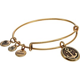 Alex and Ani Path of Symbols Expandable Bangle for Women, Anchor Charm, Rafaelian Gold Finish, 2 to 3.5 in, One Size (A21EBANCHRG)