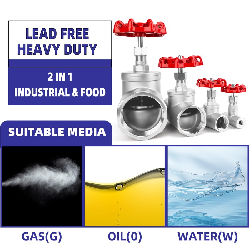 1" NPT Stainless Steel B-Type Globe Valve, Accurately Adjust Flow