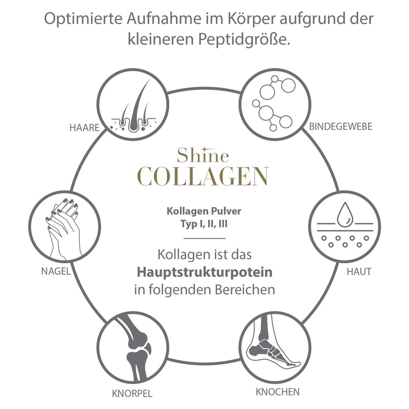 Shine Collagen Pulver 500g - 100% Collagen Peptide, Premium Hydrolysat