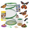 Insect Lore Butterfly Garden - 8" Habitat | 1 Cup
