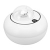 Mini Humidifier Cute Cat Sculpture Portable Quiet Desktop Air Humidifier
