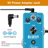 Rowin - Bluesy - Pedal de efecto de vacío vintage