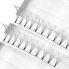 COAST GIRL Premade Fans Eyelash Extensions 3D 4D 5D 6D