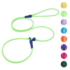 DaFuEn 6 FT Dog Slip Lead Dog Leash Dog Classic Training Leash Lightweight Durable Slip Leads for Dogs No-Pull Slip Leash and Collar Dog Leash for Small Medium Puppies