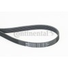 Contitech 6PK1130 V-Ribbed Belt