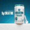REDCON1 Creatine Monohydrate - Keto Friendly + Vegan Pre &