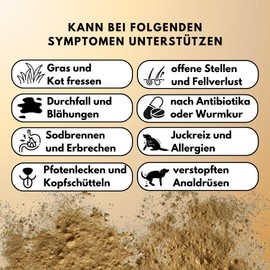 People who Kaer Darm Wohl Darmpulver für Hunde, 200g – Präbiotika & Probiotika Hund auf Basis von Reis und Banane, Darmsanierung und Durchfall Hund, Darmflora Aufbau Hund Durchfall