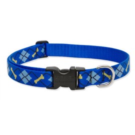 LupinePet Originals 1" Dapper Dog 12-20" Adjustable Collar for Medium and Larger Dogs