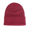 FASTHOUSE Service Beanie (Maroon, One Size)