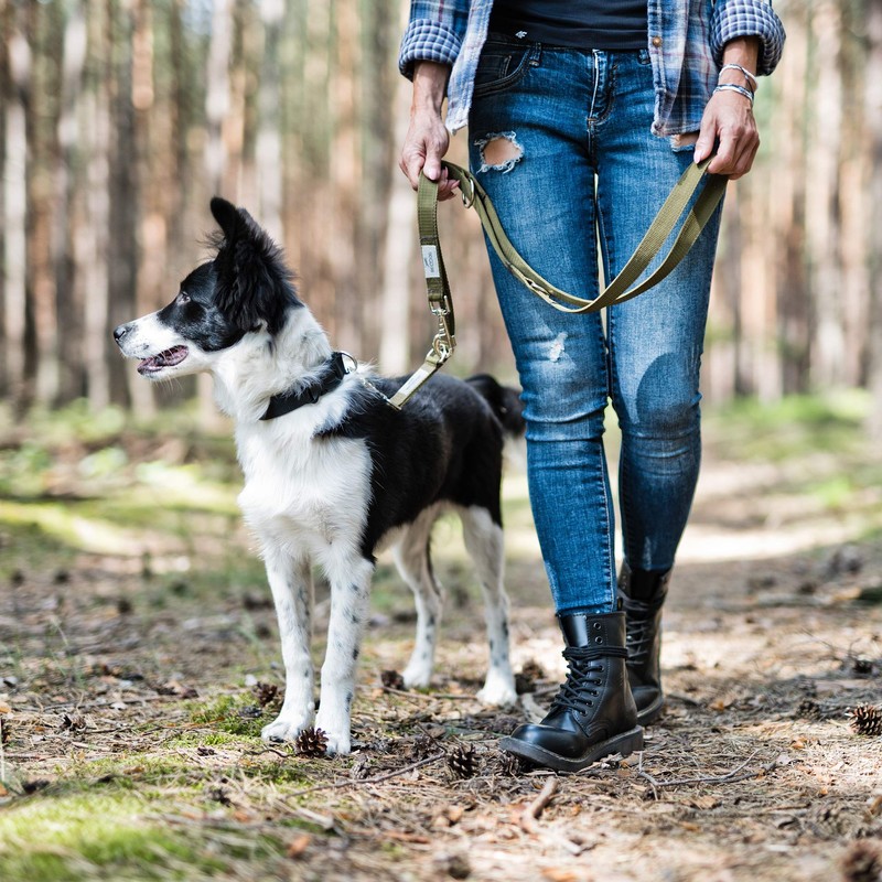 BedDog® Spike Dog Lead, Adjustable in 3 Lengths, Double Lead,