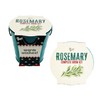 BUZZY Seeds Rosemary Holiday Herb Garden Grow Pail - Indoor