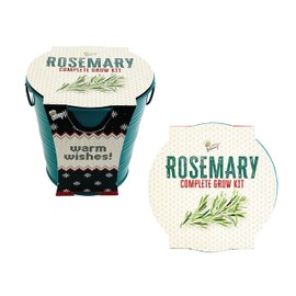 BUZZY Seeds Rosemary Holiday Herb Garden Grow Pail - Indoor Starter Kit, Guaranteed to Grow, Best Grow Your Own Herbs & Plants Gardening Gift, Great for Gifts, Favors, Parties, Events, Unique & Fun
