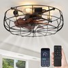 LEDIARY 20" Caged Ceiling Fans with Lights and Remote, Flush