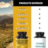 Beyond Vitamins | Mushroom Complex Premium con exclusiva mezcla de
