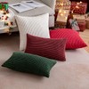 MIULEE Set of 2 Christmas Cushion Covers Cushions Decorative Corduroy