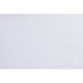 Velfont Terry Cotton Cushion Cover, Anti-Allergy, Waterproof and Breathable, Available in Various Sizes (80 x 80 cm)