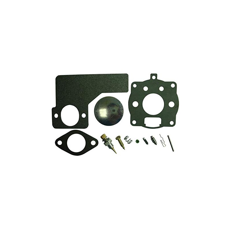 Carburetor Overhaul Rebuild Kit Replaces Briggs & Stratton 394989 391071