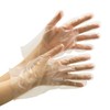 Midori Anzen VERTE-580-SS Polyethylene Disposable Gloves, Embossing, 200 Pieces, Clear