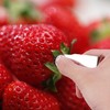 2Pcs Silver 2.8 * 1, Stainless Steel Strawberry Huller Fruit