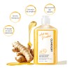Champú Anticaída Quarxery Shampoo De Jengibre 240 Ml