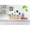 MRS. MEYER'S CLEAN DAY Hand Soap, Compassion Flower, Made with