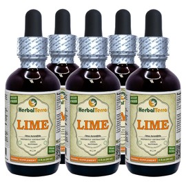 Lime (Key Lime Aurantifolia) Tincture, Organic Dried Peel Liquid Extract (Brand name: HerbalTerra, Proudly made in USA) 5x2 fl.oz (5x60 ml)