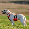 Browning Pet Hi-Vis Safety Vest for Dogs, Safety Orange, Large,