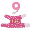Stock Show Small Pet Outdoor Walking Harness Vest and Leash