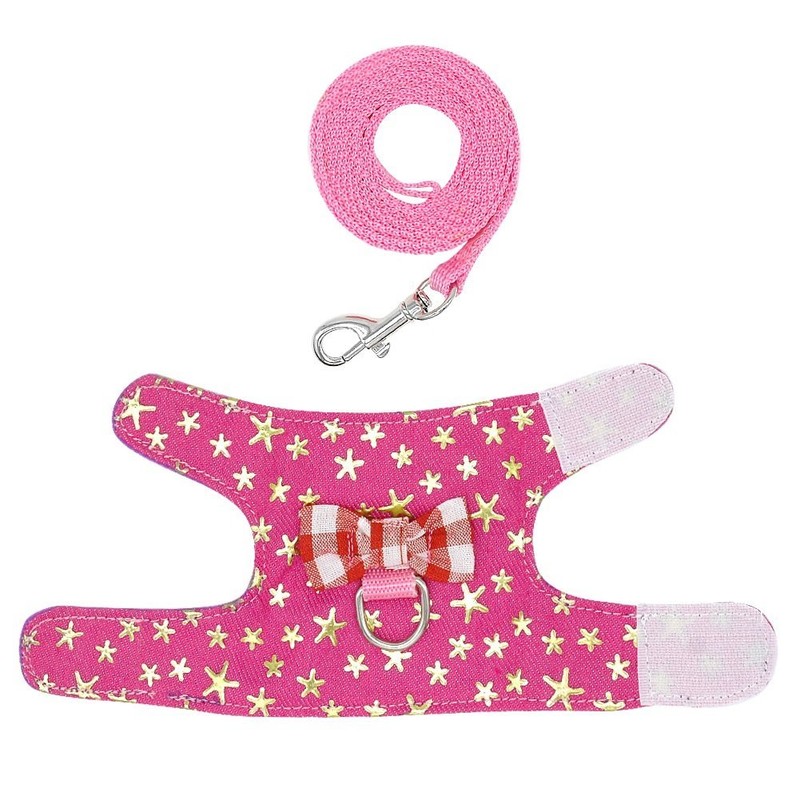 Stock Show Small Pet Outdoor Walking Harness Vest and Leash