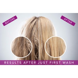 No Yellow Purple Shampoo & Conditioner For Blonde, Grey & Highlighted Hair (250ml Duo) Silverising Shampoo With Argan Oil To Remove Yellow & Brassy Tones