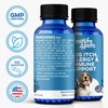 Dog Allergy Relief & Immune Support, Natural Holistic Itch Relief
