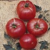 Tomato Garden Seeds - German Johnson - 4 Oz -
