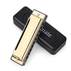 Soulmate Beginner Harmonica Mouth Organ 10 Hole 20 Tones C Key Blues Harmonica with Case Diatonic Harmonica for Students， Professional Player, Adult, Friends, Gift Gold