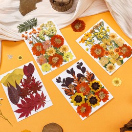85Pcs Fall Dried Flowers for Crafts, Natural Pressed Flowers for Crafts Real Dried Pressed Flowers Dry Leaves in Orange & Yellow for Resin, DIY Art, Scrapbook, Jewelry, Candle & Soap Making w/ Tweezer