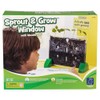 Educational Insights Sprout & Grow Window - See-Through Sprouts Growing