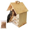 Owl Nesting Box for Outdoors - Weatherproof Handmade Wooden Bird