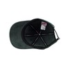 IRIEDAILY Corvin Dad Cap, Hunter
