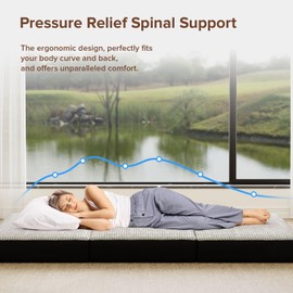 ROXGOX Memory Foam Trifold Mattress - Single Portable Floor Bed 4 Inch, Foldable Mat with Washable Cover, Handle & Non-Slip Bottom, for RV, Travel, Camping, Yoga, 75"x25"x4"