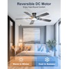 Phylluz 52'' Black Flush Mount Ceiling Fan with Lights for