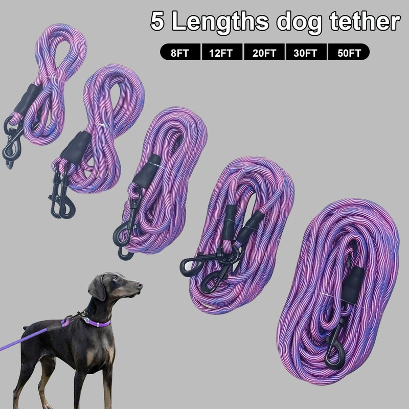 BTINESFUL 8ft 12ft 20ft 30ft 50ft 75ft Dog Tie-Out Long