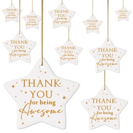 Sieral 10 Pcs Thank You Gift Christmas Tree Star Hanging Ornament Ceramic Inspirational Employee Appreciation Gift Thank You for Being Awesome Gift for Friend Coworker Staff Team Vet Thanksgiving