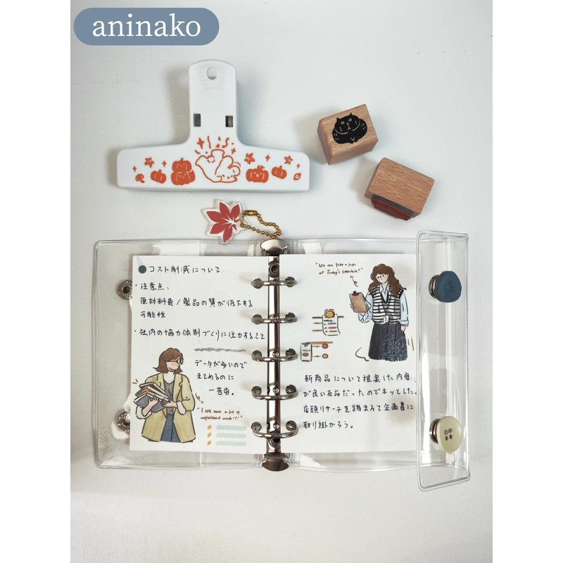 aninako Sticker Book M5 Transparent Removable for Girls 【Clear Refills*10