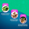 Fancy Pets Espuma P/BAÑO EN SECO Essentials 300 G