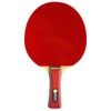 Best Sport Table Tennis Set with Bag - Multicoloured