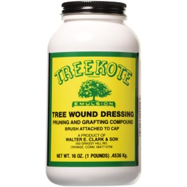Clarks 00016 Treekote Brushtop Container, 16-Ounce