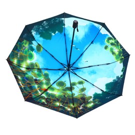 KCKEYS Artistic Natural Scenery Cartoon Floral Folding Umbrella, Double Layer Windproof, Travel Umbrellas for Rain, Anti Rain Sun Umbrellas (Lake Sky)